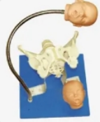 微信图片_20240511095121.png