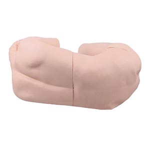 Lumbar Puncture Training Model