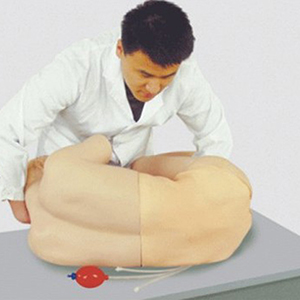 Model:BIX-CK811