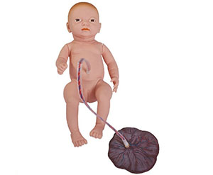 Neonatal umbilical cord Care Model
