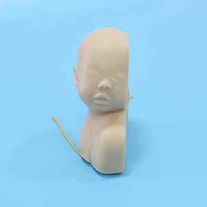 venipuncture Training Model
