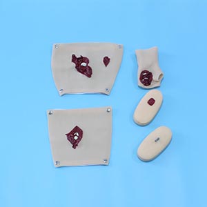 Human trauma assessment model