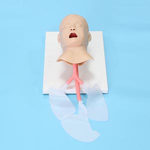 Advanced Children's Tracheal Intubation model