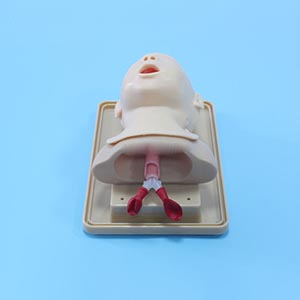 Infant Tracheal intubation model