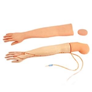 Venous puncture Infusion arm model