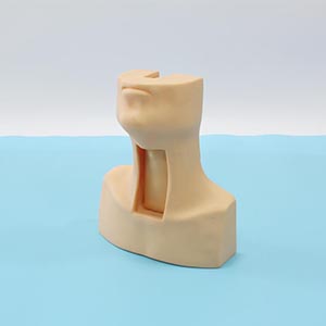 Advanced Adult tracheotomy Care Model