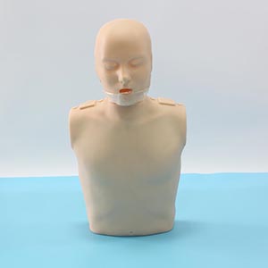 Simple Half-body cardiopulmonary resuscitation simulator
