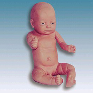 Birth baby model