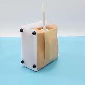 Spinal tap model