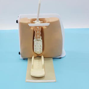 BIX-L60