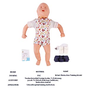 Airway infarction and CPR model